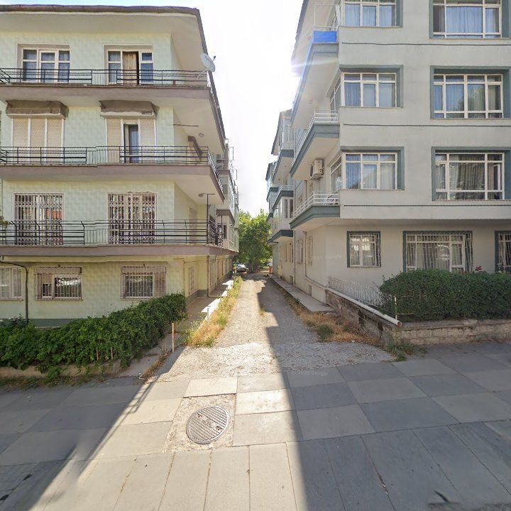Fotoğraf 11
