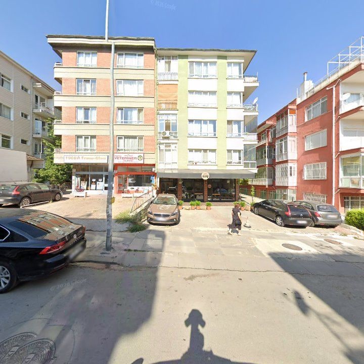 Fotoğraf 9