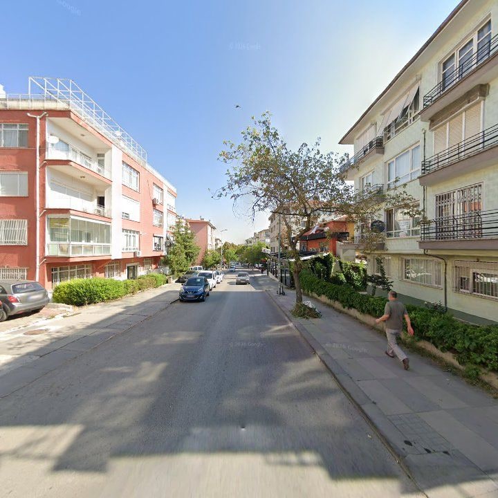 Fotoğraf 10