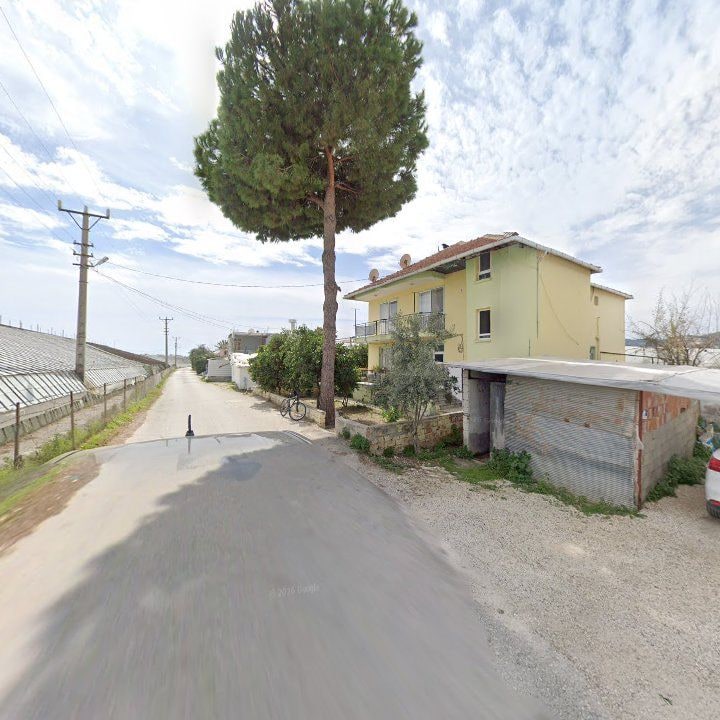 Fotoğraf 4