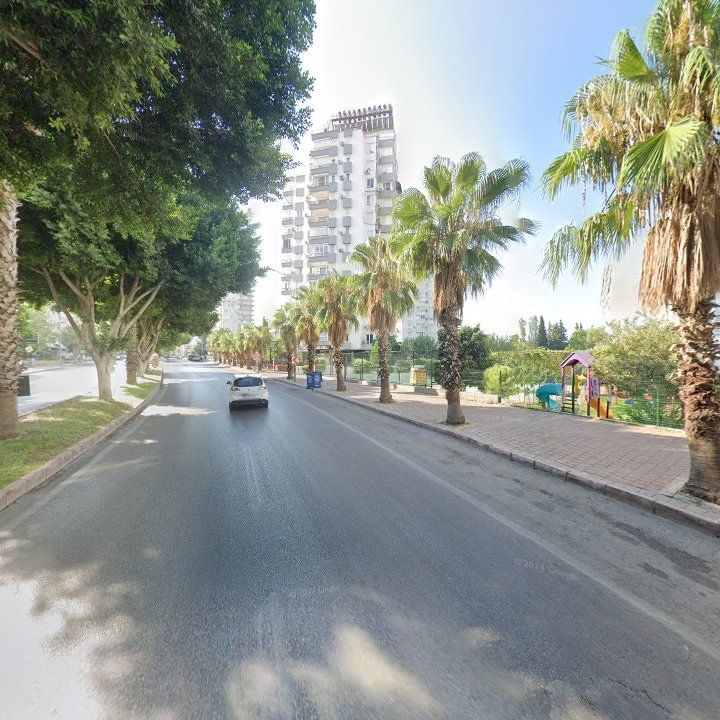 Fotoğraf 11