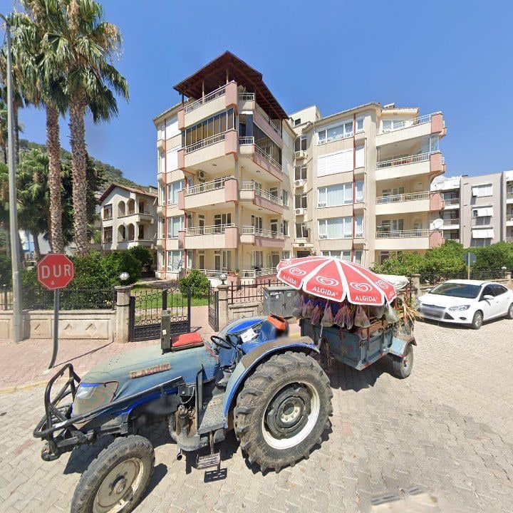 Fotoğraf 12