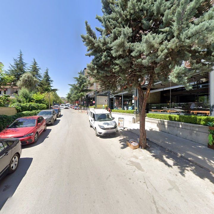 Fotoğraf 11