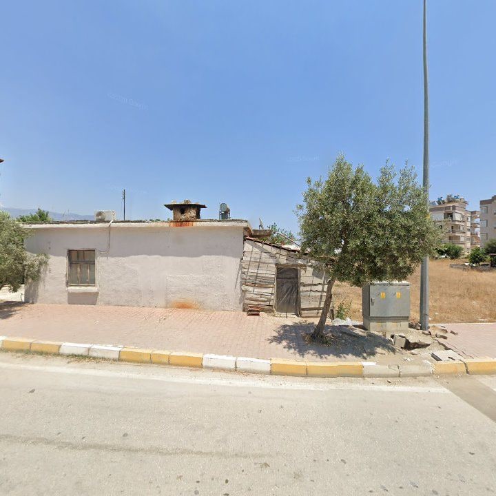 Fotoğraf 9
