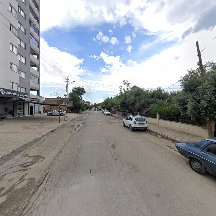 Fotoğraf 6