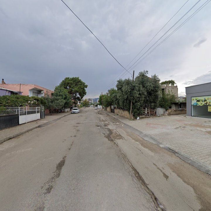 Fotoğraf 8