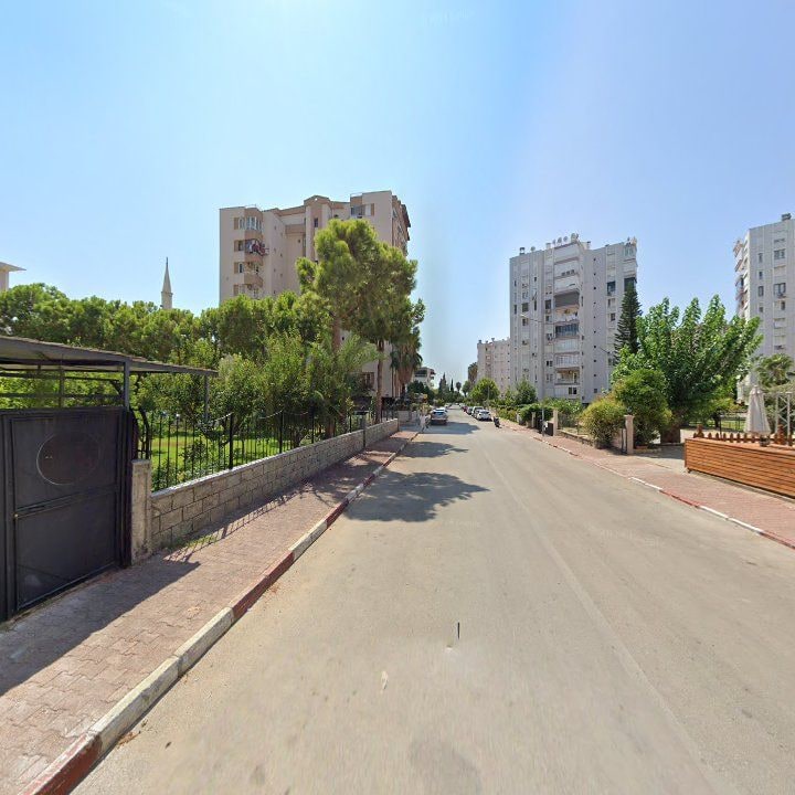 Fotoğraf 7