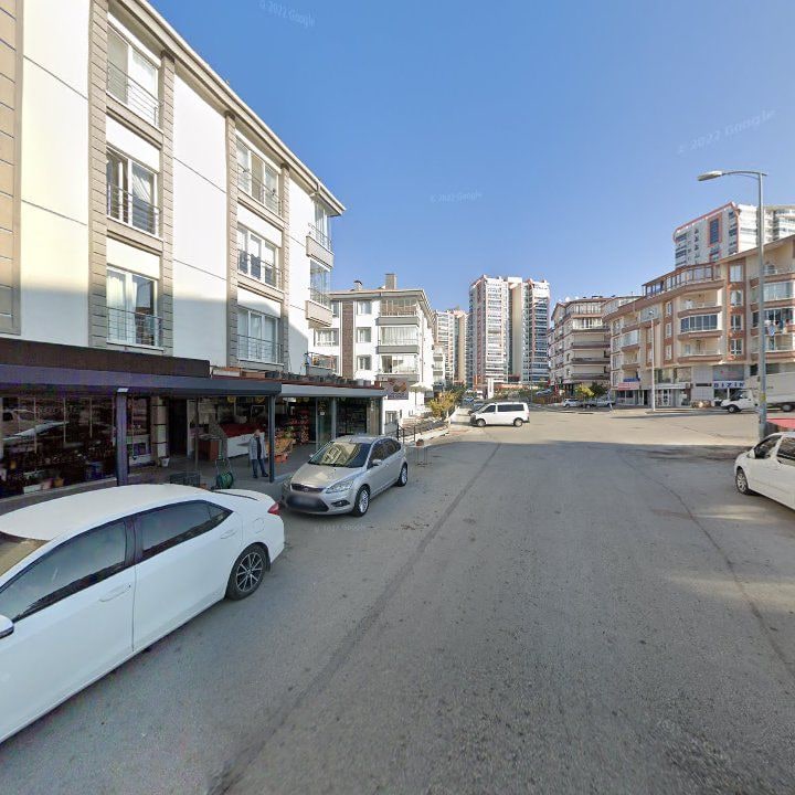 Fotoğraf 9