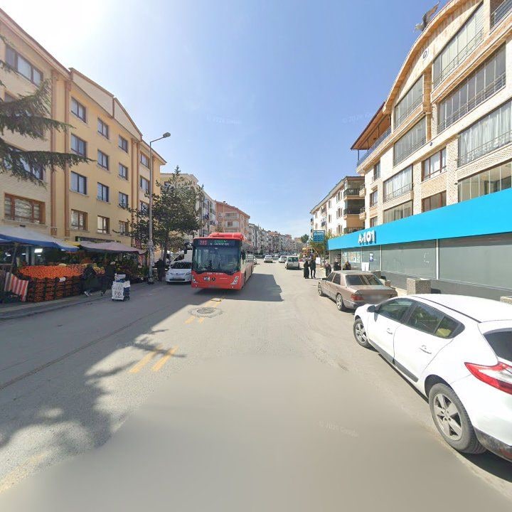 Fotoğraf 12
