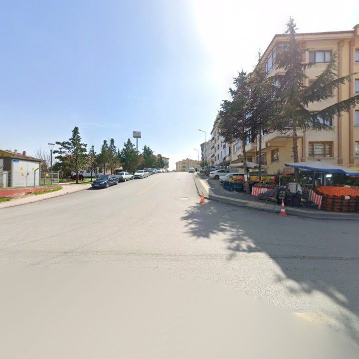 Fotoğraf 11
