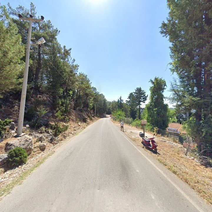 Fotoğraf 10