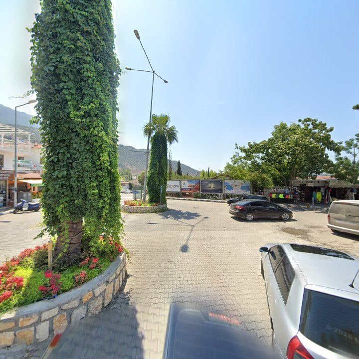 Fotoğraf 10