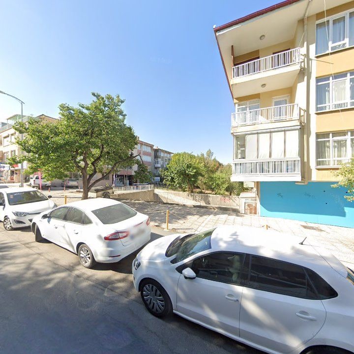 Fotoğraf 8