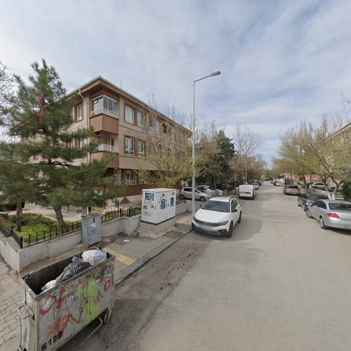 Fotoğraf 8