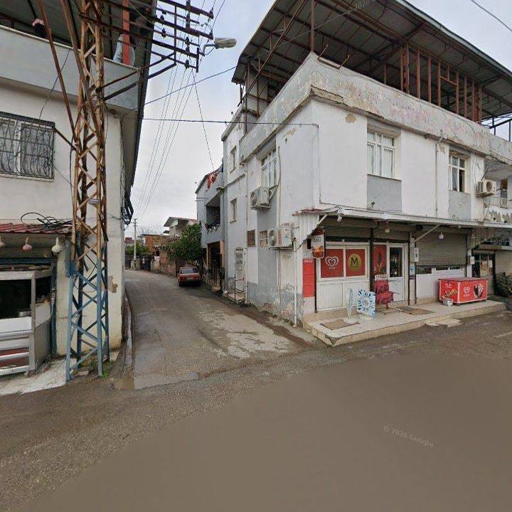 Fotoğraf 8