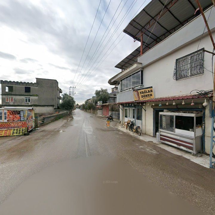 Fotoğraf 7