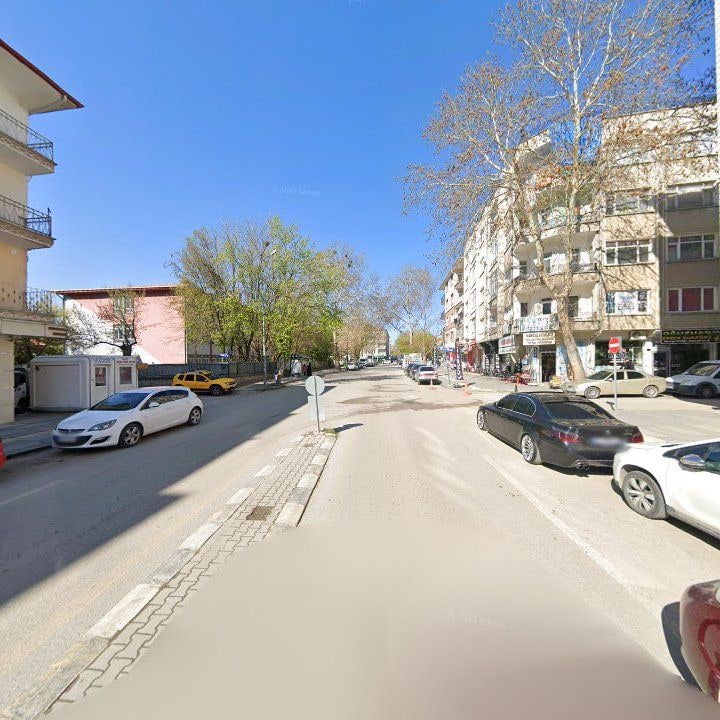 Fotoğraf 11
