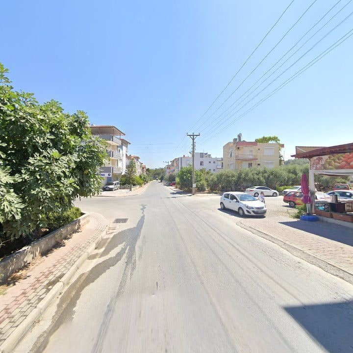 Fotoğraf 10