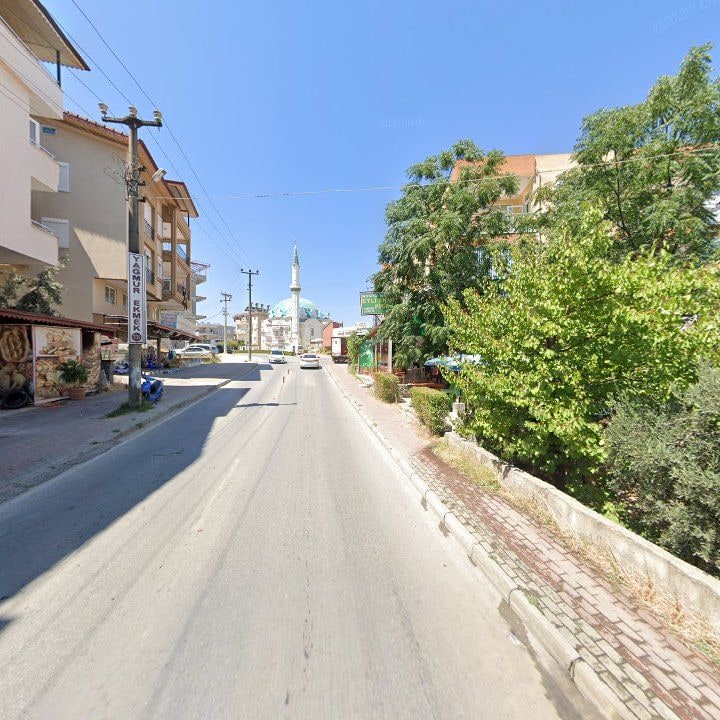 Fotoğraf 8