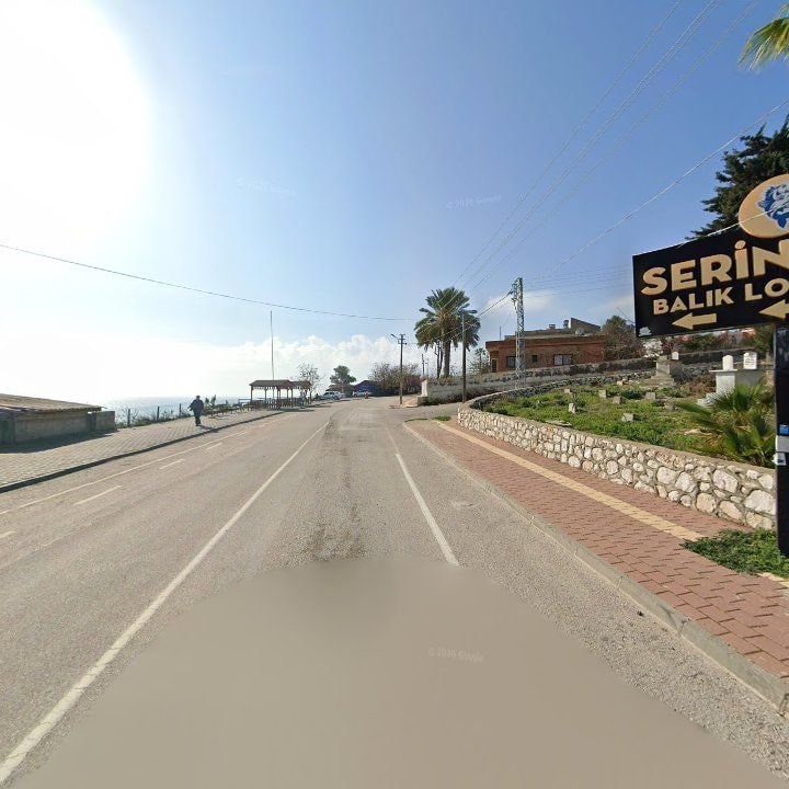 Fotoğraf 9