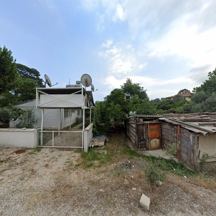 Fotoğraf 2