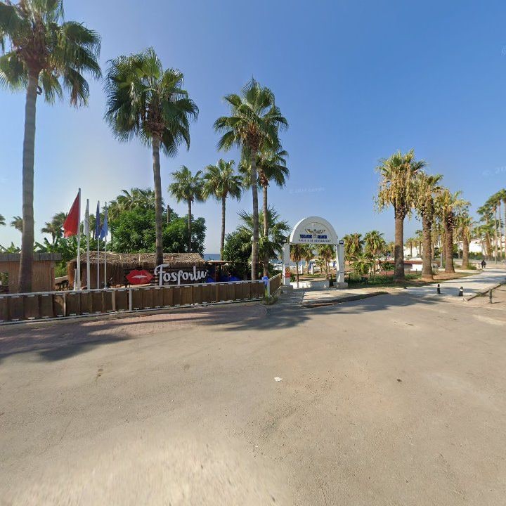 Fotoğraf 9