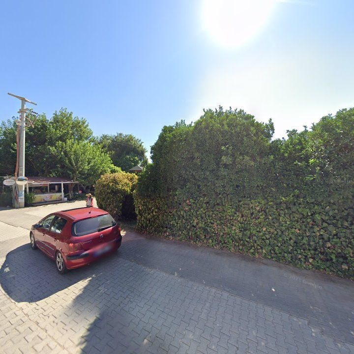 Fotoğraf 13
