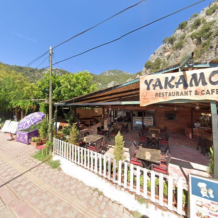 Fotoğraf 11