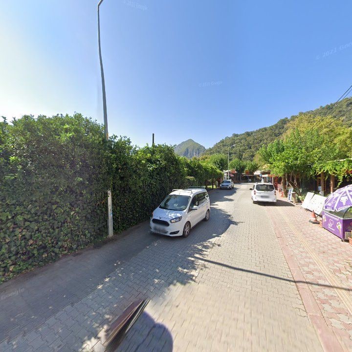 Fotoğraf 14