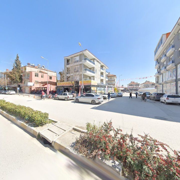 Fotoğraf 10