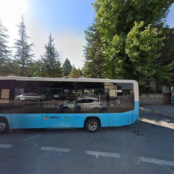 Fotoğraf 3