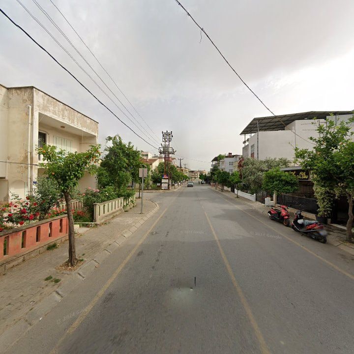 Fotoğraf 9