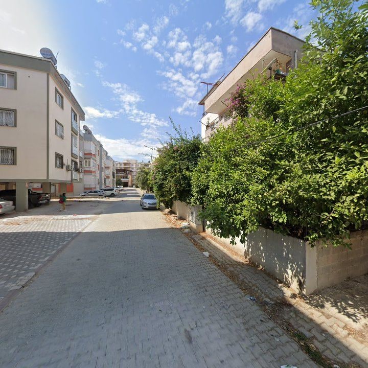 Fotoğraf 6