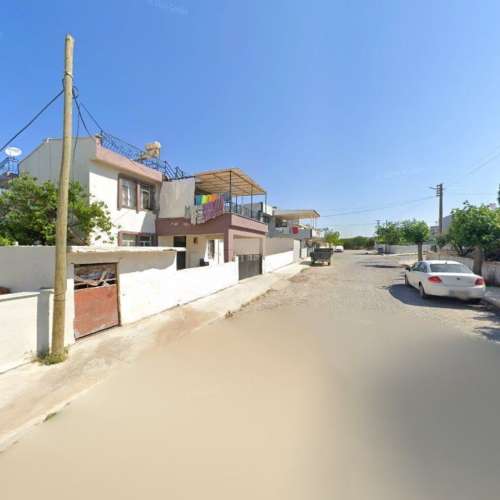 Fotoğraf 7
