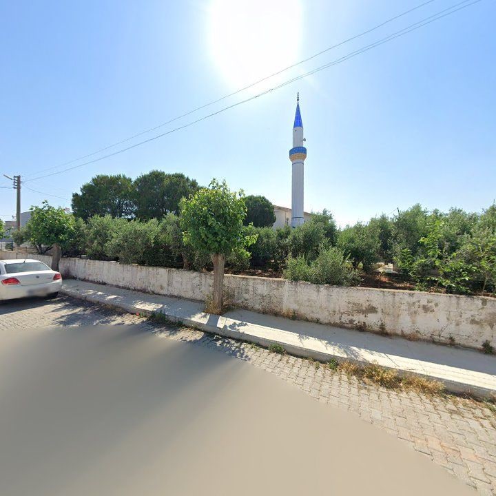 Fotoğraf 8