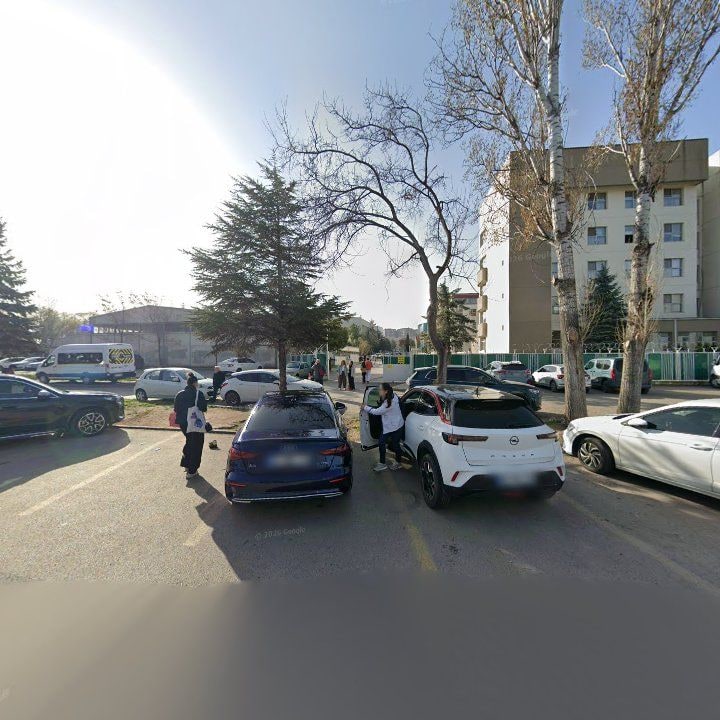 Fotoğraf 10