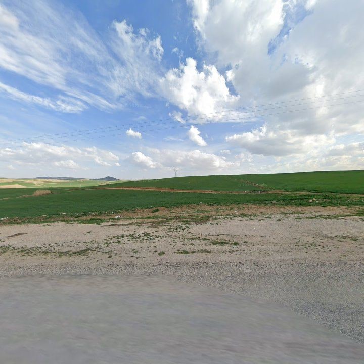 Fotoğraf 9