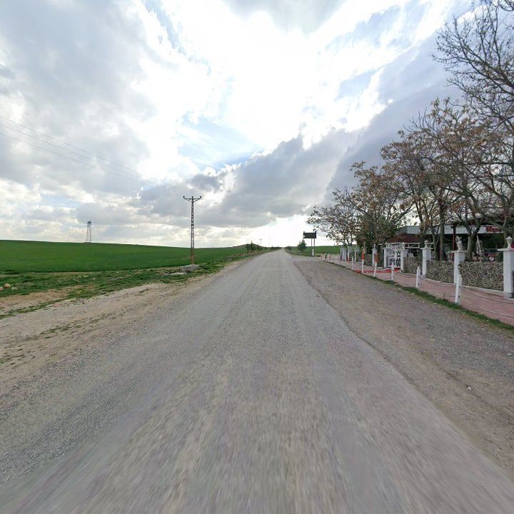 Fotoğraf 10