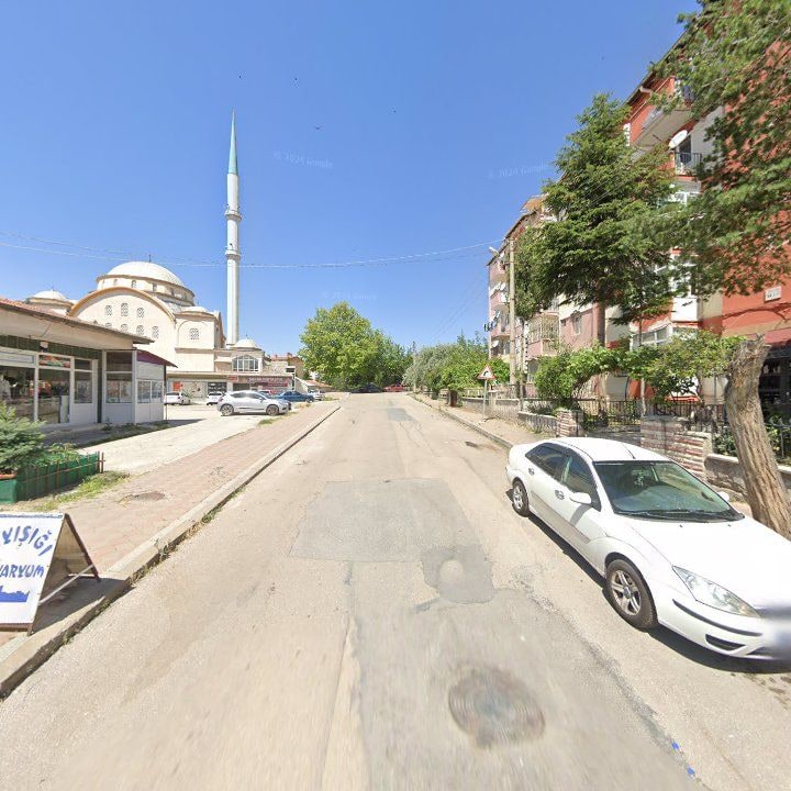 Fotoğraf 6