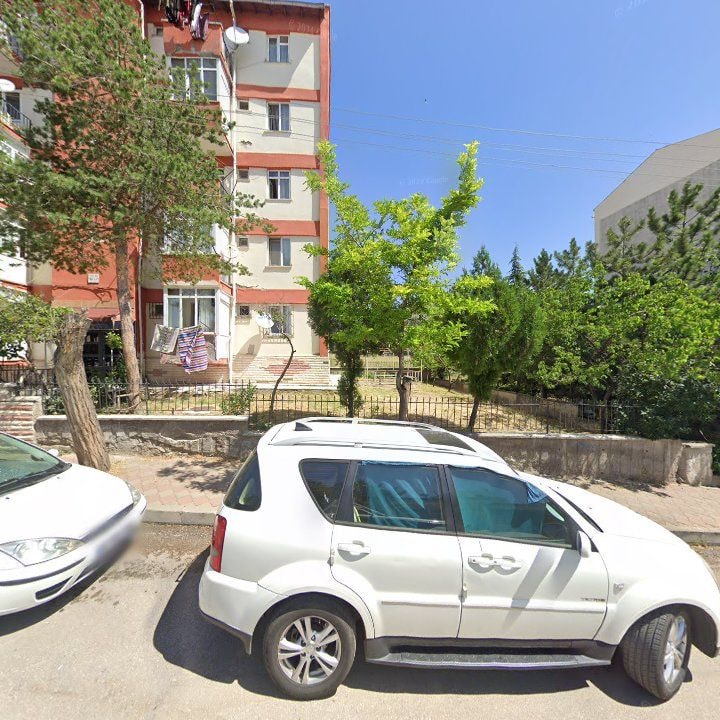 Fotoğraf 7