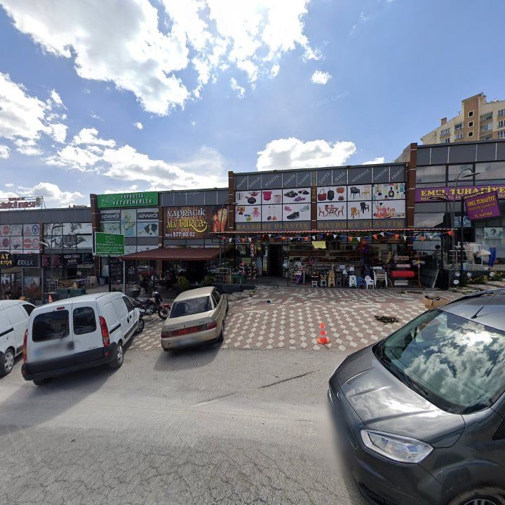 Fotoğraf 7