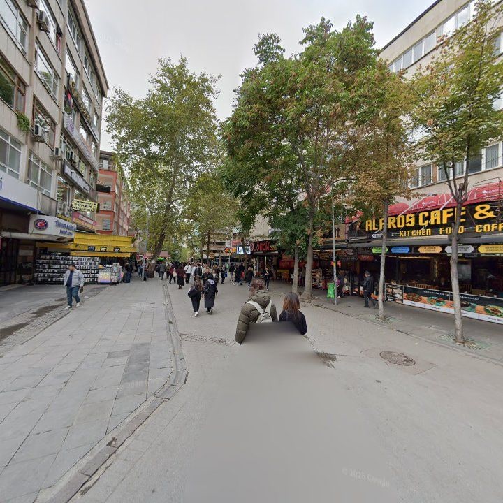 Fotoğraf 12