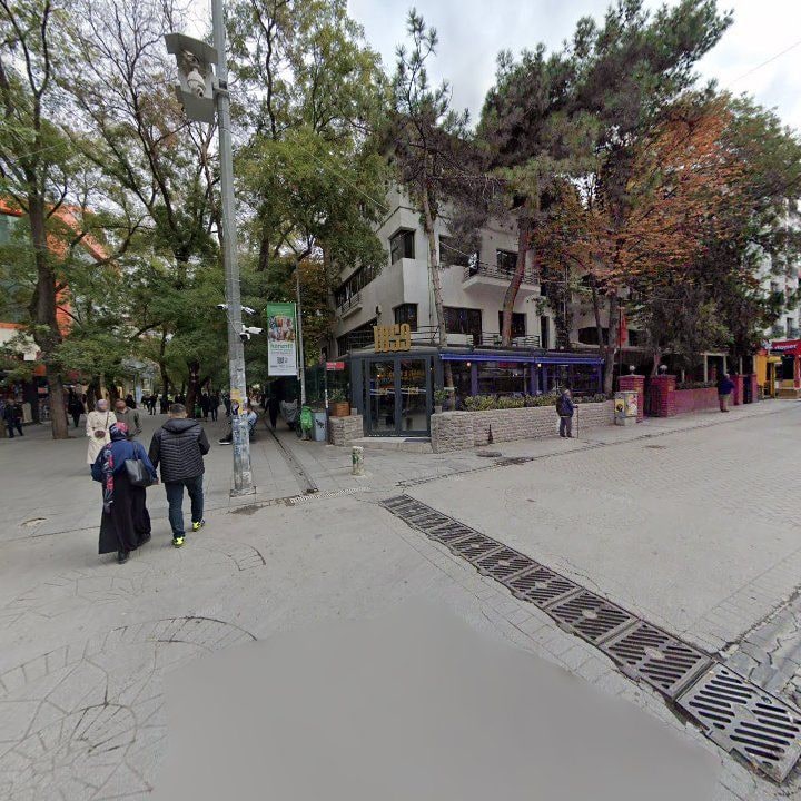 Fotoğraf 10