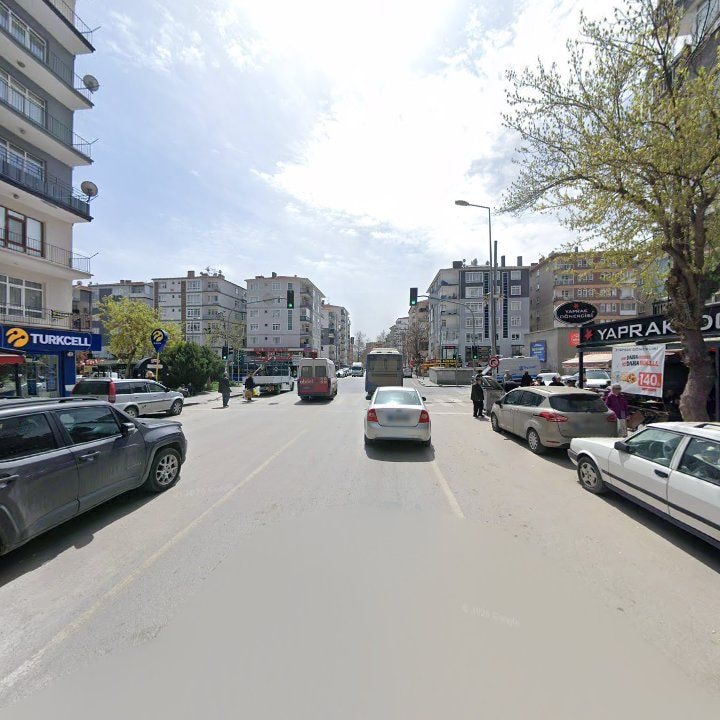 Fotoğraf 11