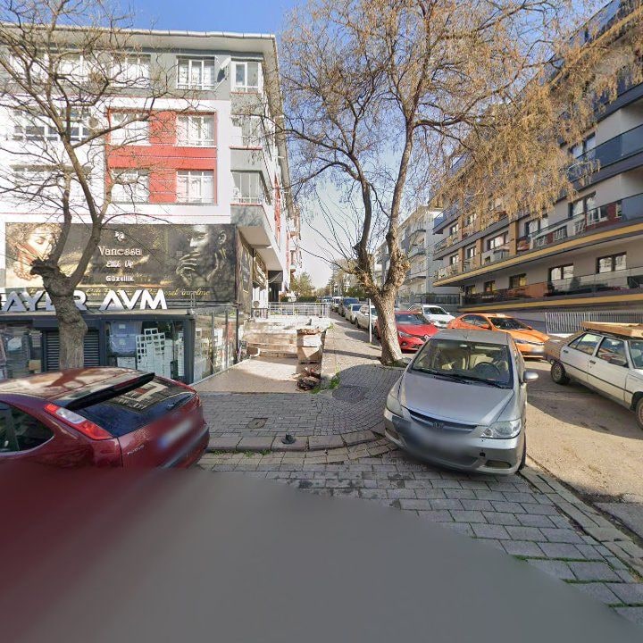 Fotoğraf 10
