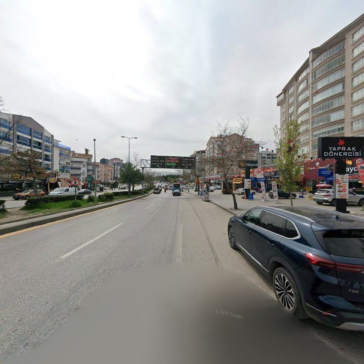 Fotoğraf 11