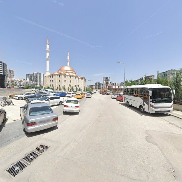 Fotoğraf 7