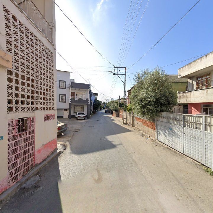 Fotoğraf 10