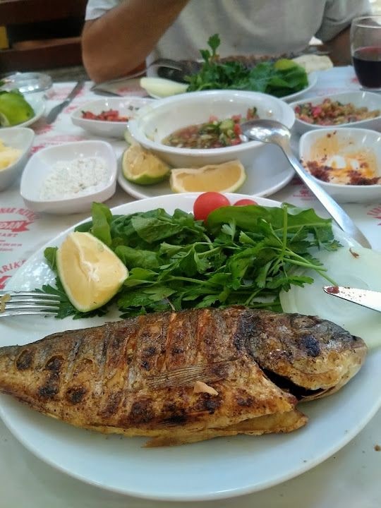 Fotoğraf 8