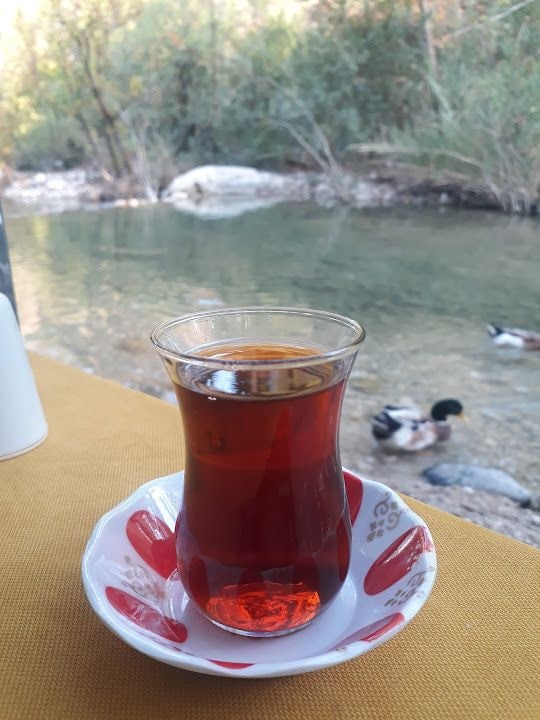 Fotoğraf 9